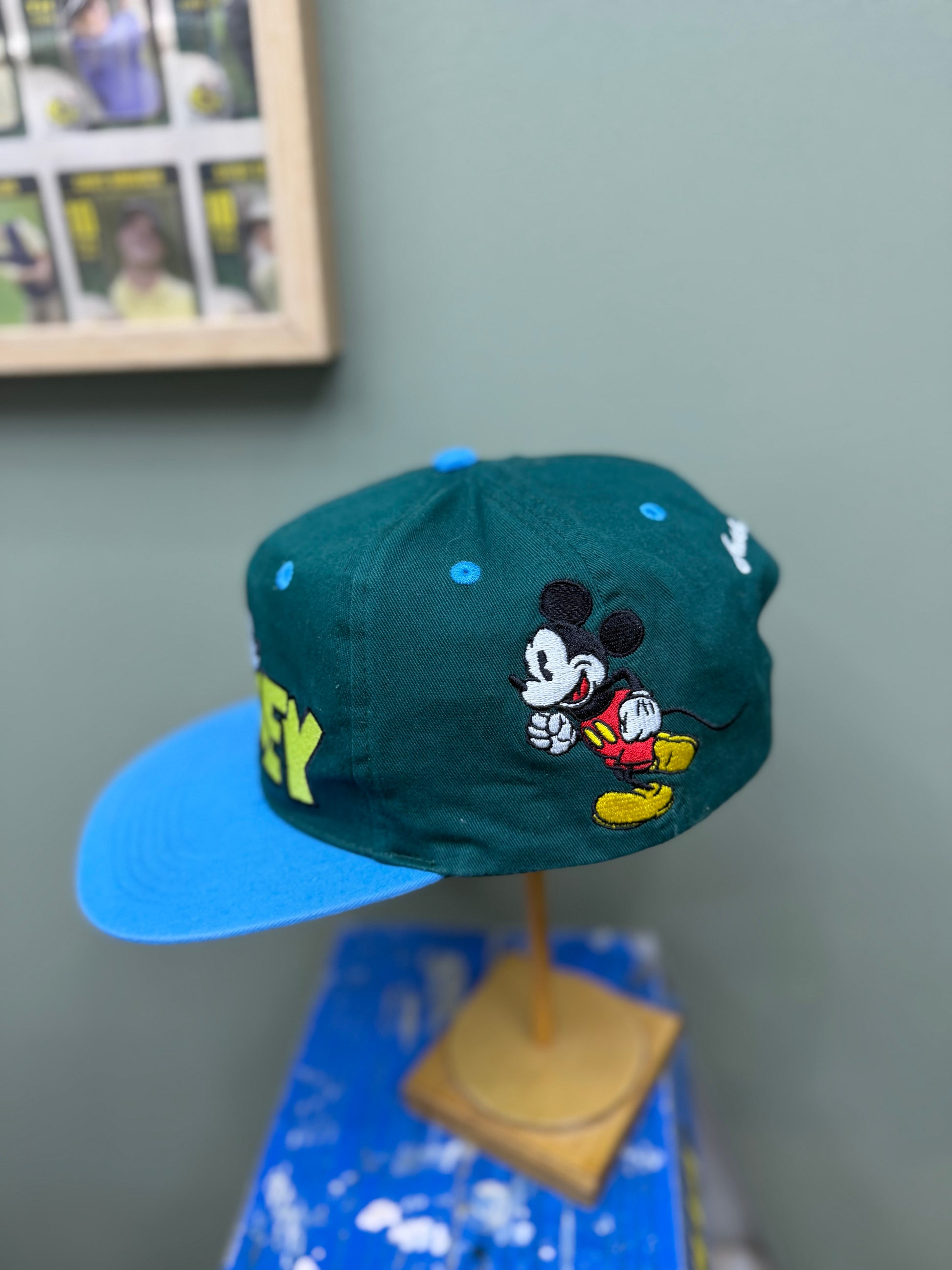 Disney SnapBack