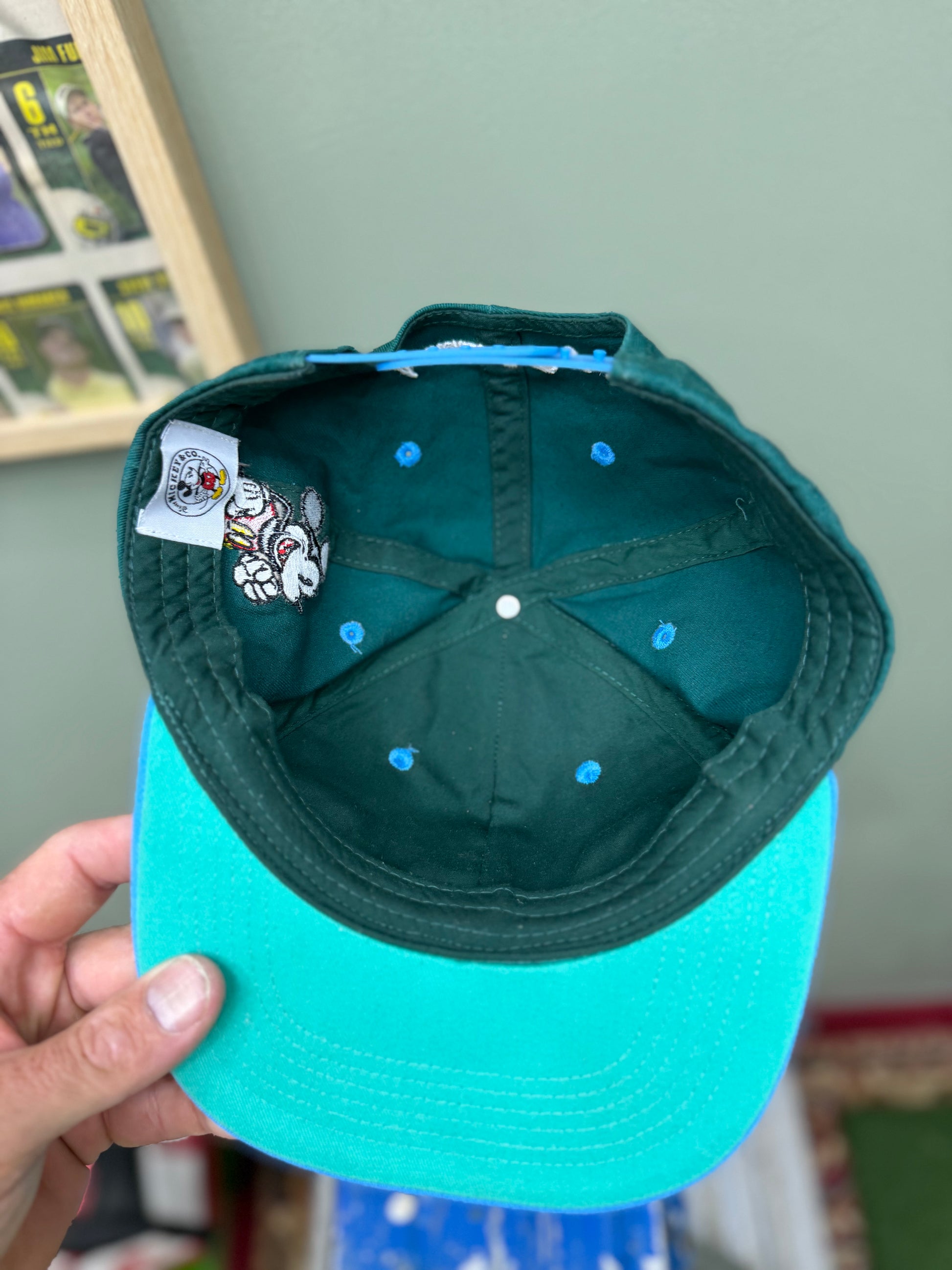 Disney SnapBack