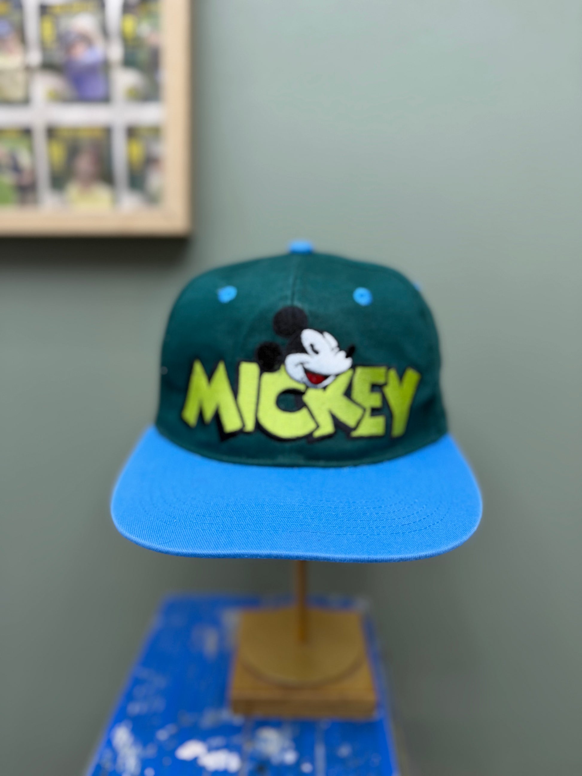 Disney SnapBack
