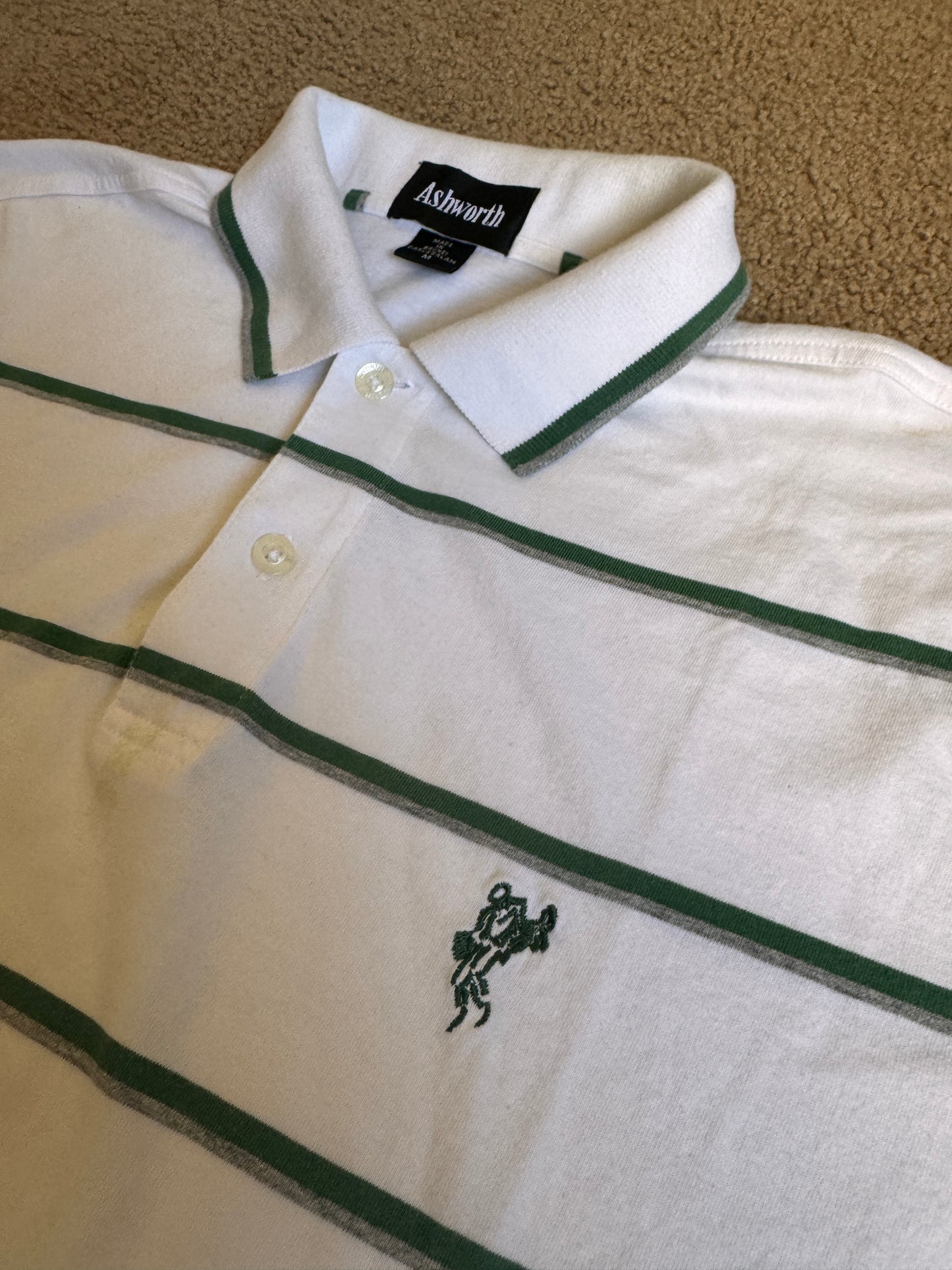 Ashworth Polo