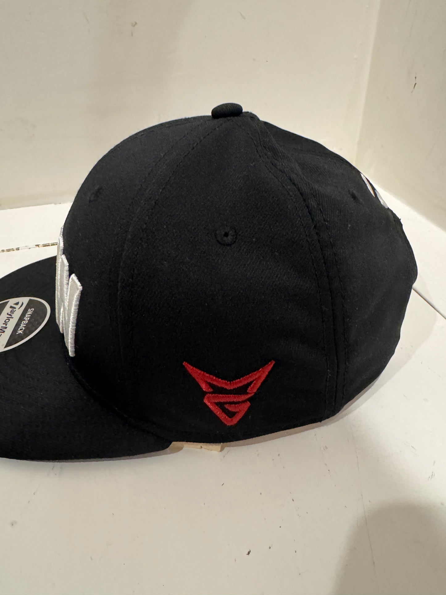 NWT Tayormade RAW SnapBack